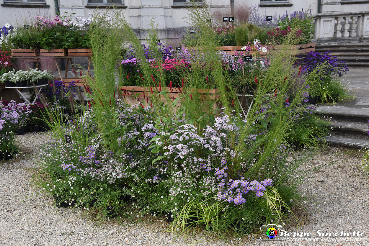 VBS_3560 - Floreal 2023 - Vivere con le piante.jpg